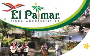 el_palmar-1